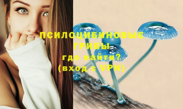 гашиш Арсеньев